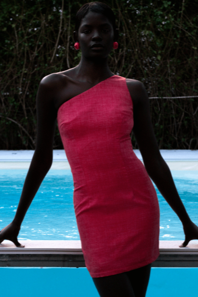 Stefania Vaidani pink dress being modeled.